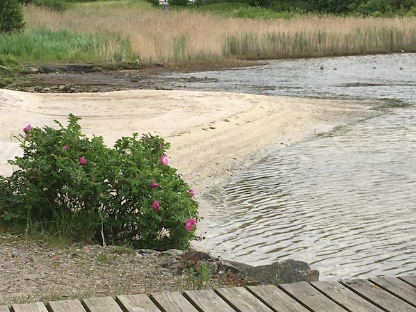 Playa en los alrededores 