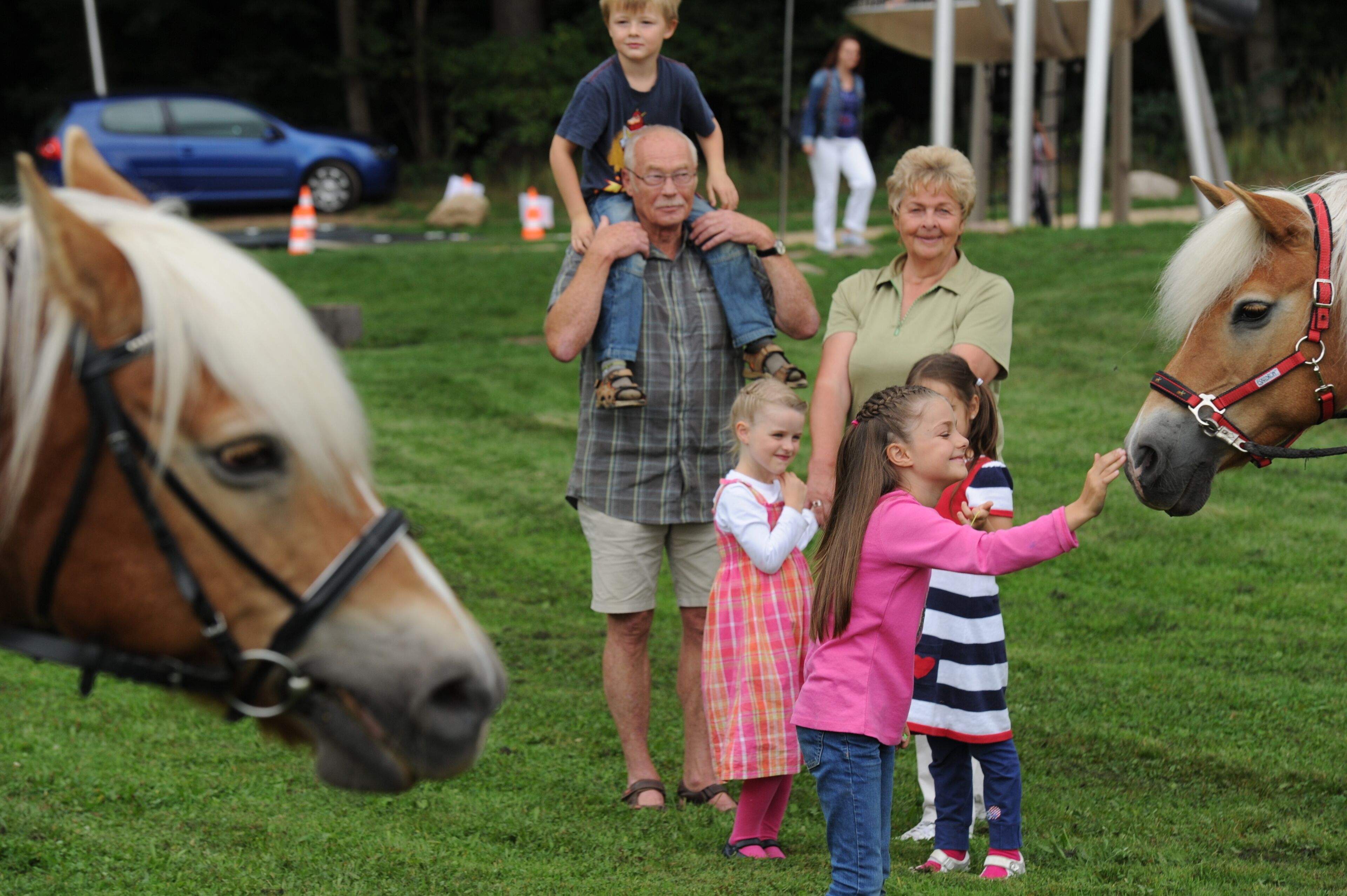 Una famiglia interagisce con un cavallo in una zona erbosa all'aperto.