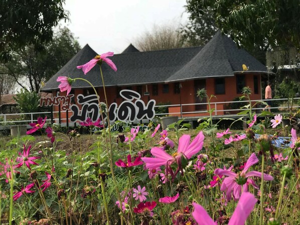 บริเวณภายนอก