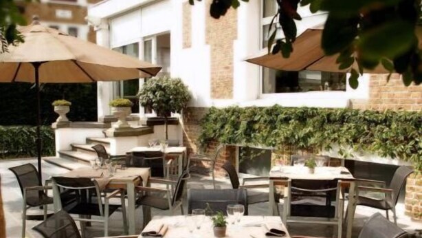 Un patio al aire libre con mesas y sillas, sombrillas y plantas en macetas.