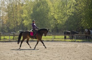 Horseback riding