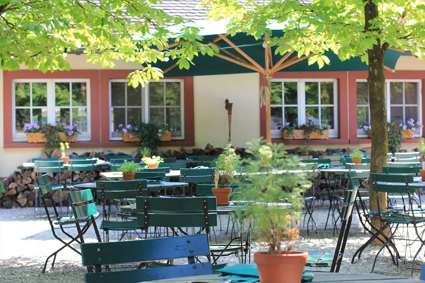 Un espace extérieur aménagé avec des chaises et des tables en métal vert, entouré de plantes en pot et bordé par un bâtiment doté de grandes fenêtres.