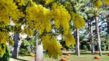 花園