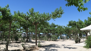 Ein Campingplatz mit Zelten und Bäumen.