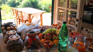 Une table avec divers aliments et boissons, une bouteille d’acétaminophène et une vue sur la verdure à l’extérieur.