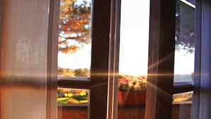 Une vue à travers une fenêtre, avec la lumière du soleil qui entre à flots, un cadre de porte en bois, et un aperçu d’un jardin à l’extérieur.