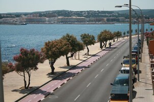 Una strada costiera con una pista pedonale, alberi e auto parcheggiate.