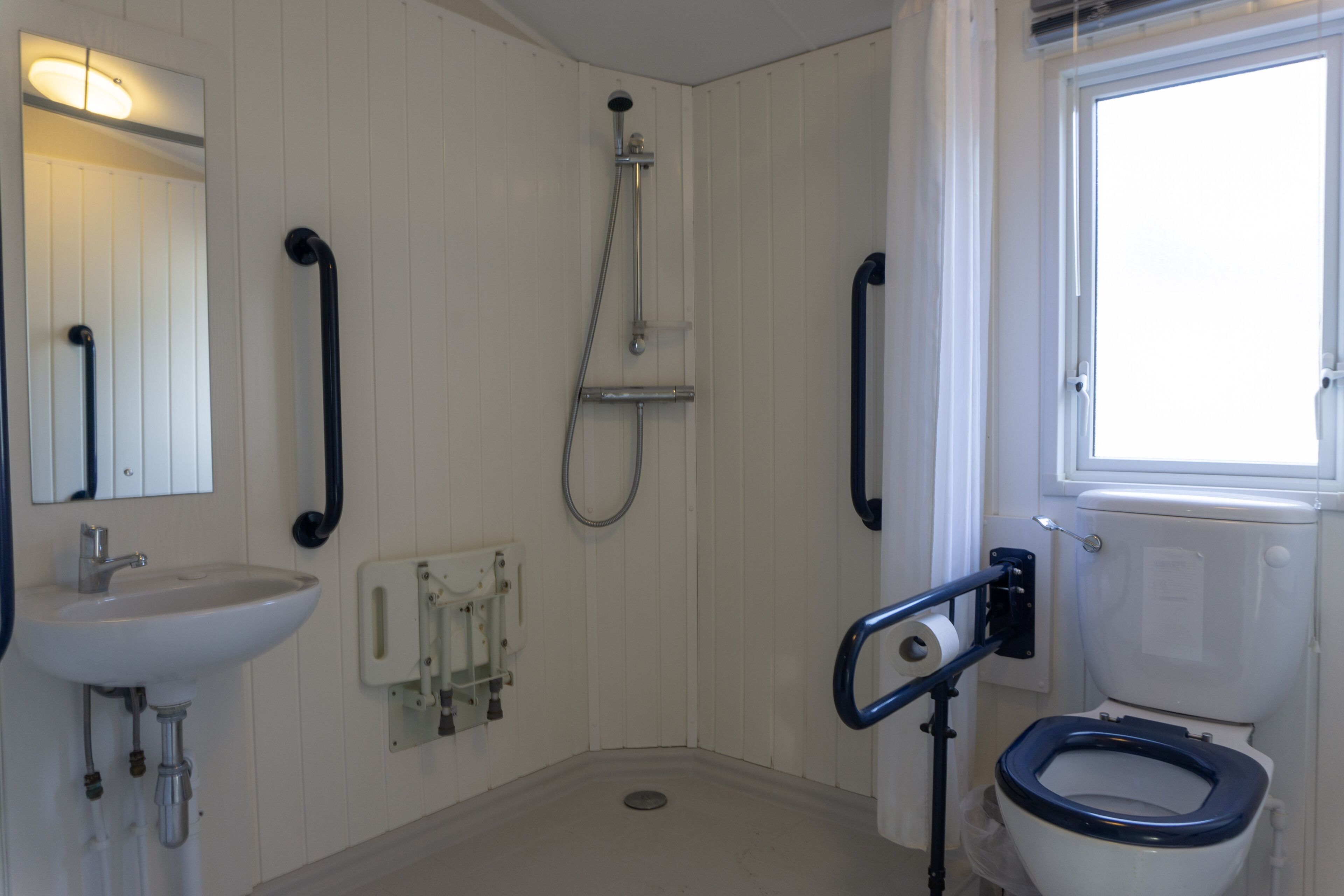 Ein Badezimmer mit Waschbecken, Toilette, Dusche und Handläufen.