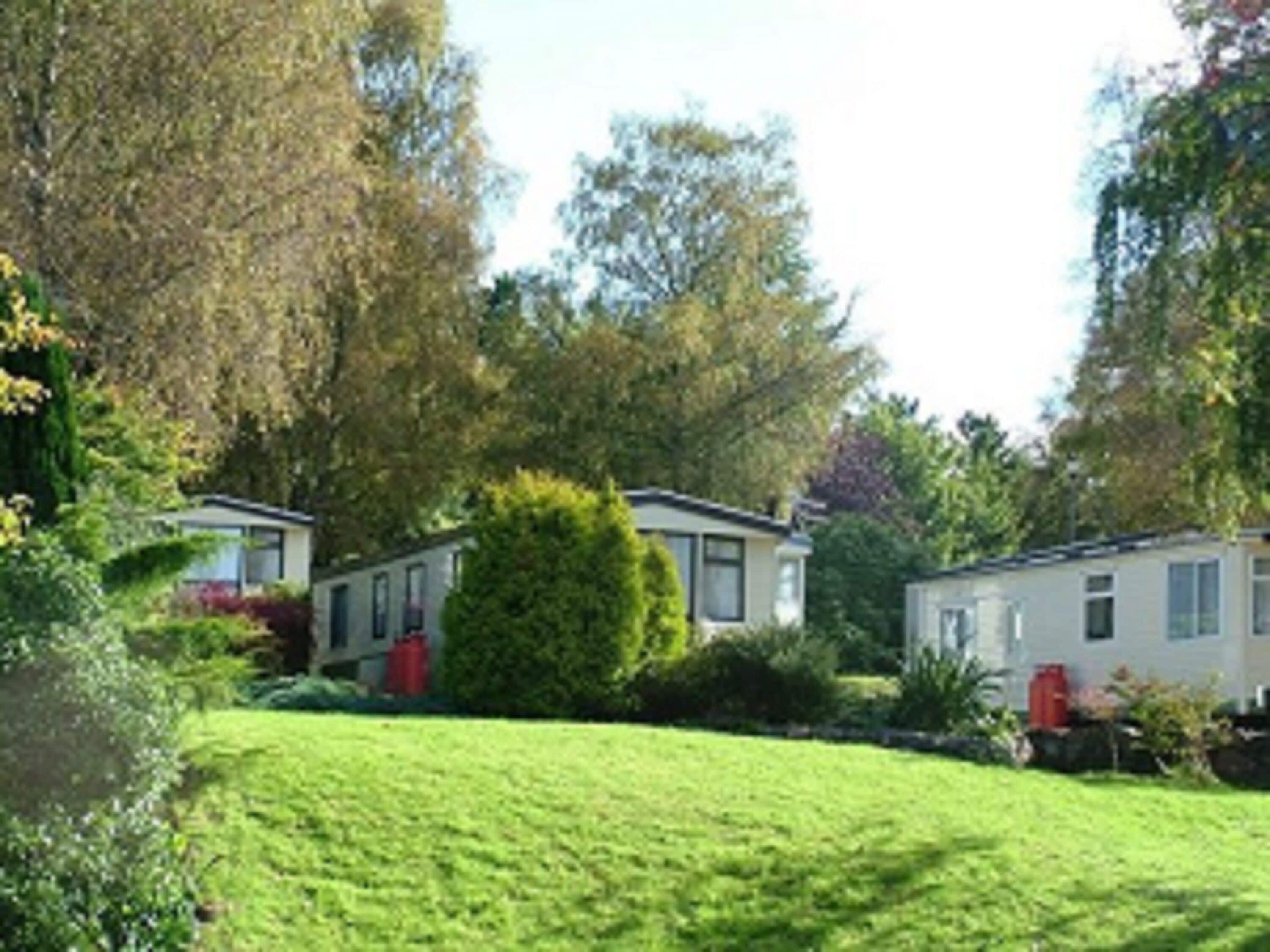 A row of mobile homes with a well-maintained lawn and surrounding greenery.