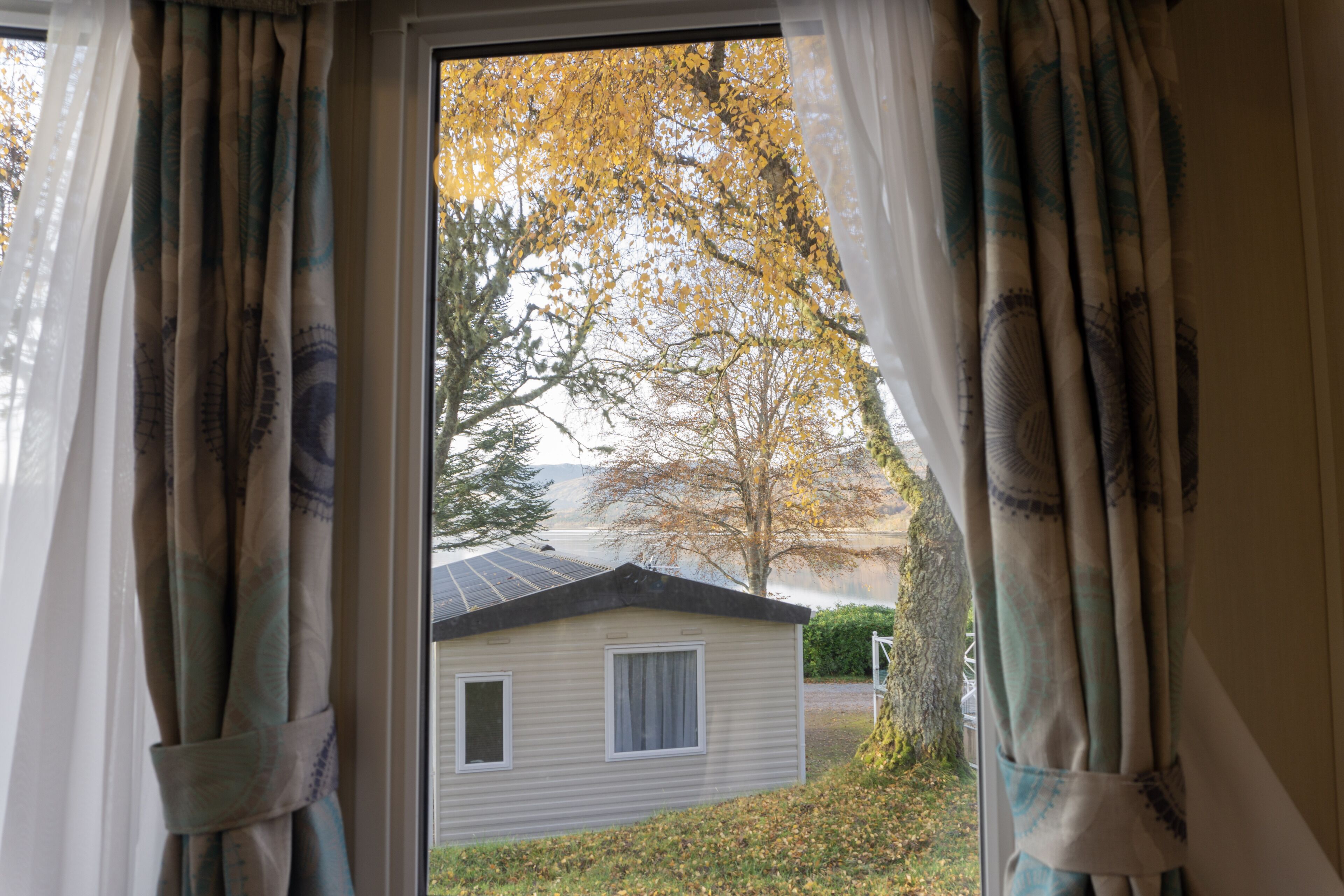 A window with curtains, a view of a house, and a tree with yellow leaves.