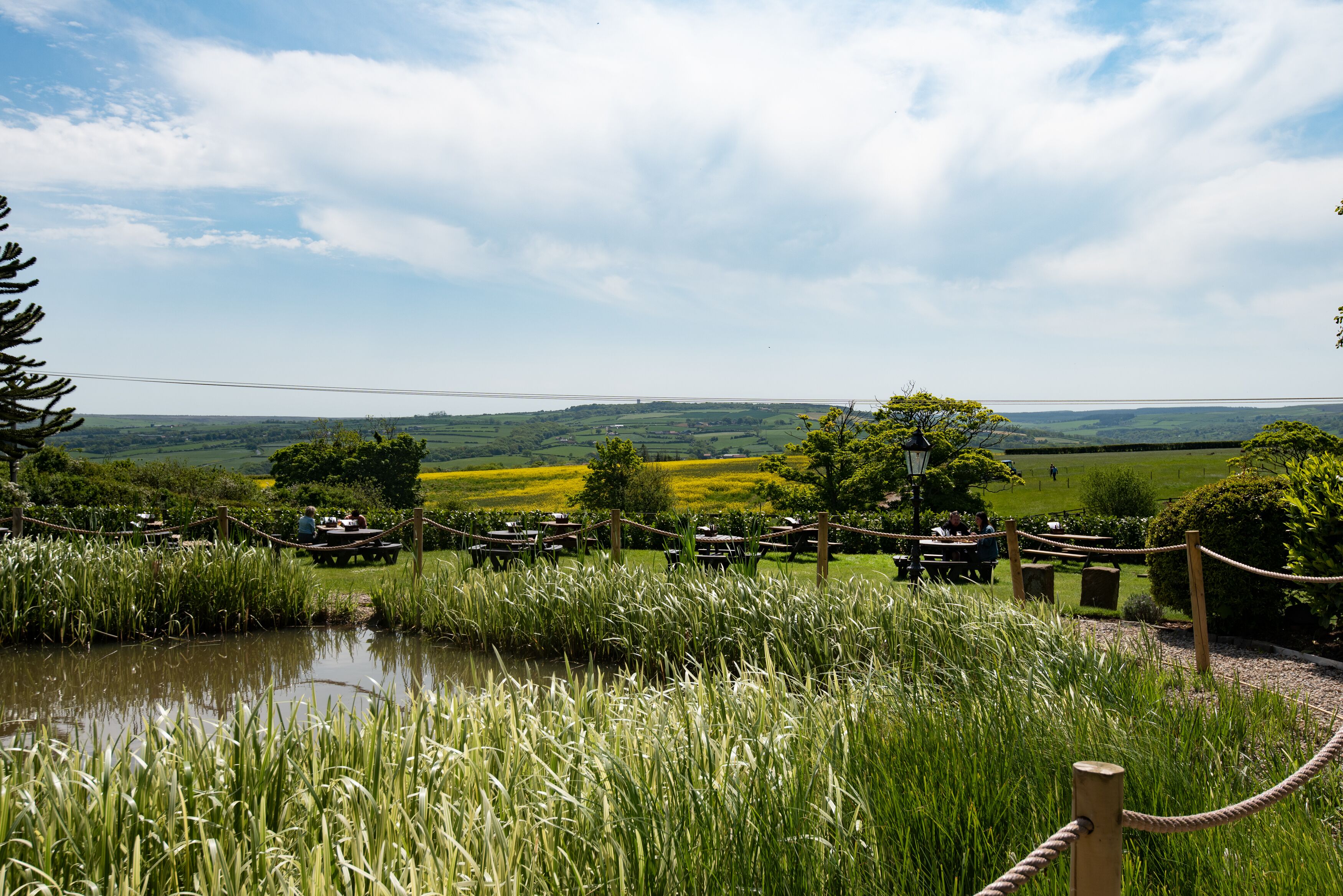 A riverside picnic area with tables and chairs, surrounded by tall grass and trees, overlooking a green valley.