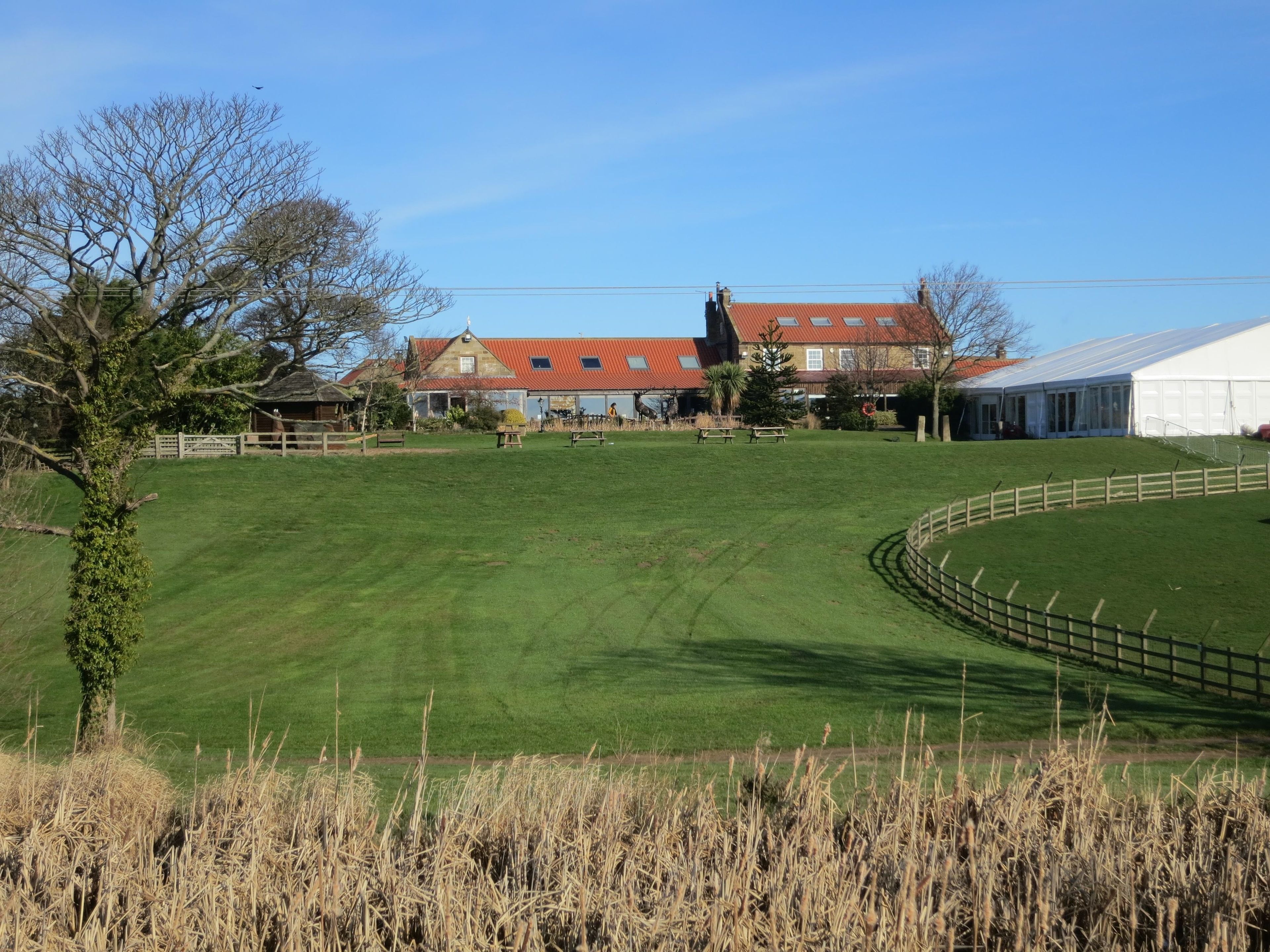 A large grassy field with a building in the background.