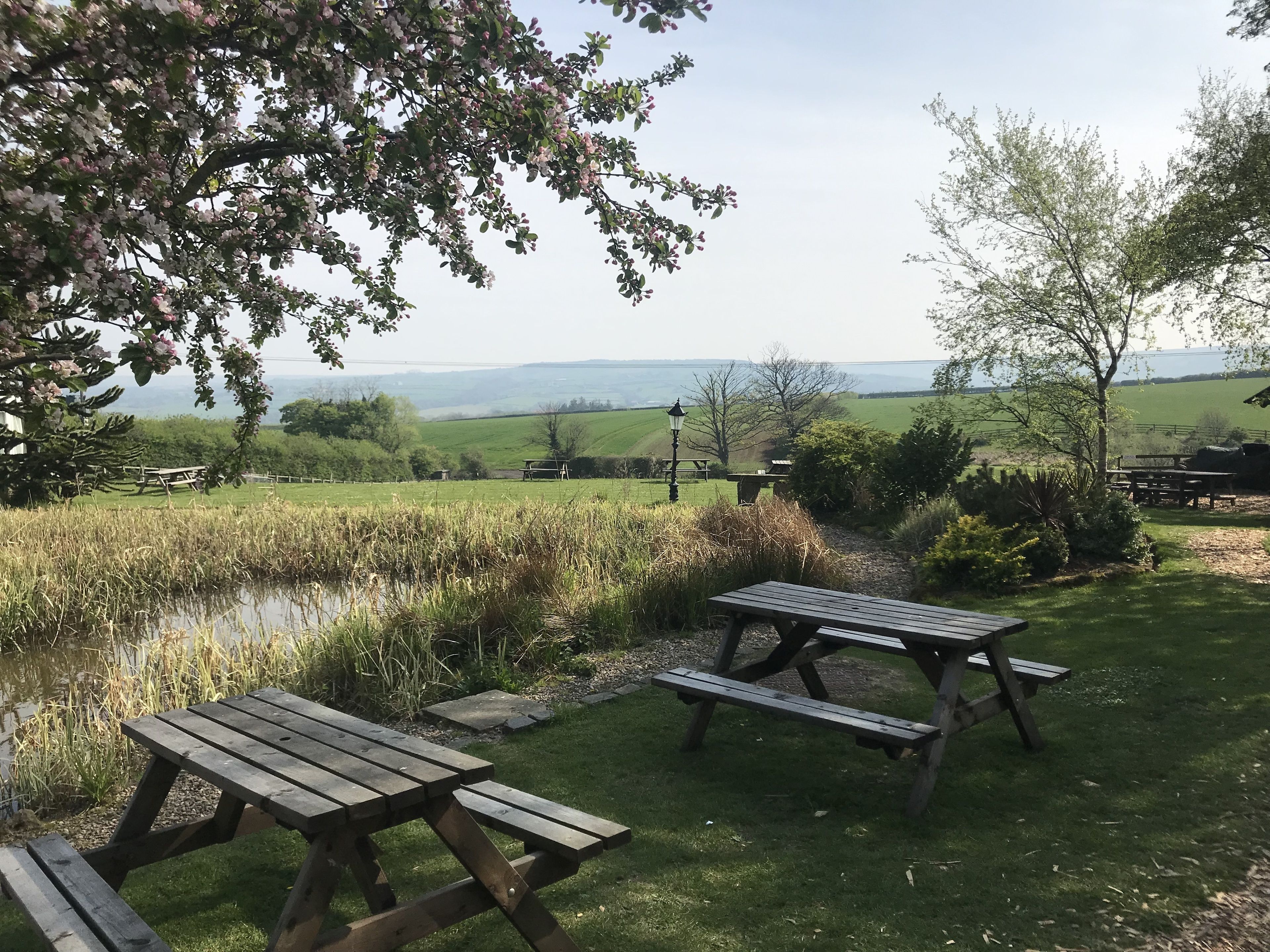 A picnic area with wooden benches and tables, surrounded by a pond and greenery, with a view of distant hills.