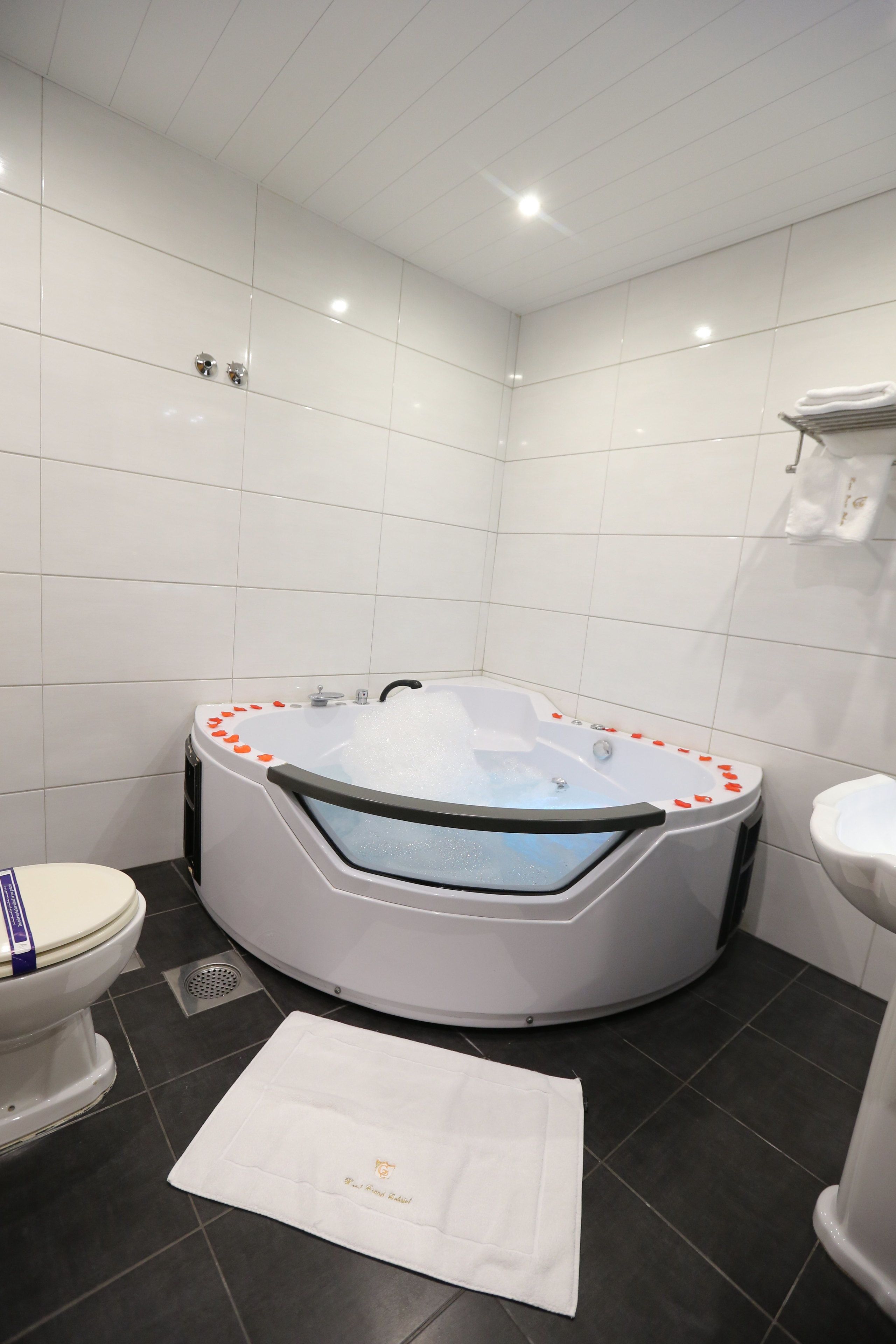Un baño moderno con una bañera independiente, un inodoro y un bidé.