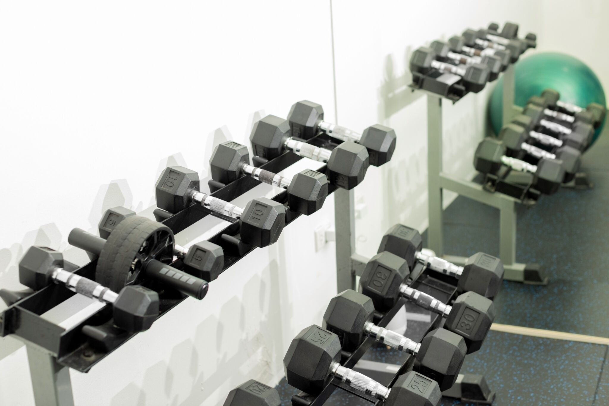 A row of black dumbbells on a rack in a gym.