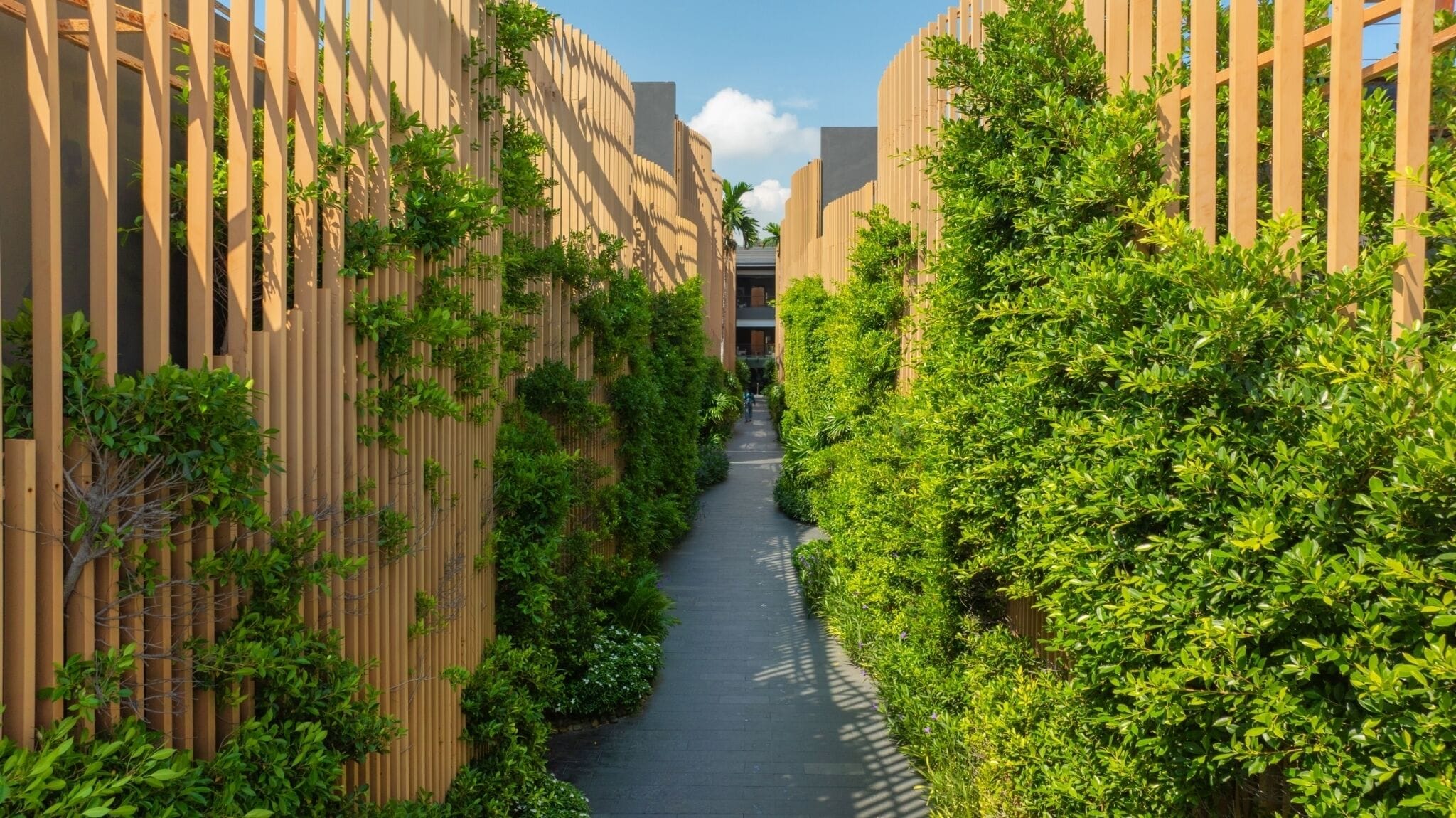 Ein schmaler Pfad, gesäumt von hohen Holzzäunen und üppigem Grün, führt zu einem Gebäude mit moderner Architektur.
