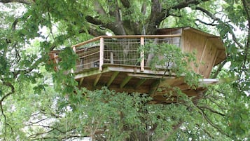 Premium bedding, individually decorated, individually furnished