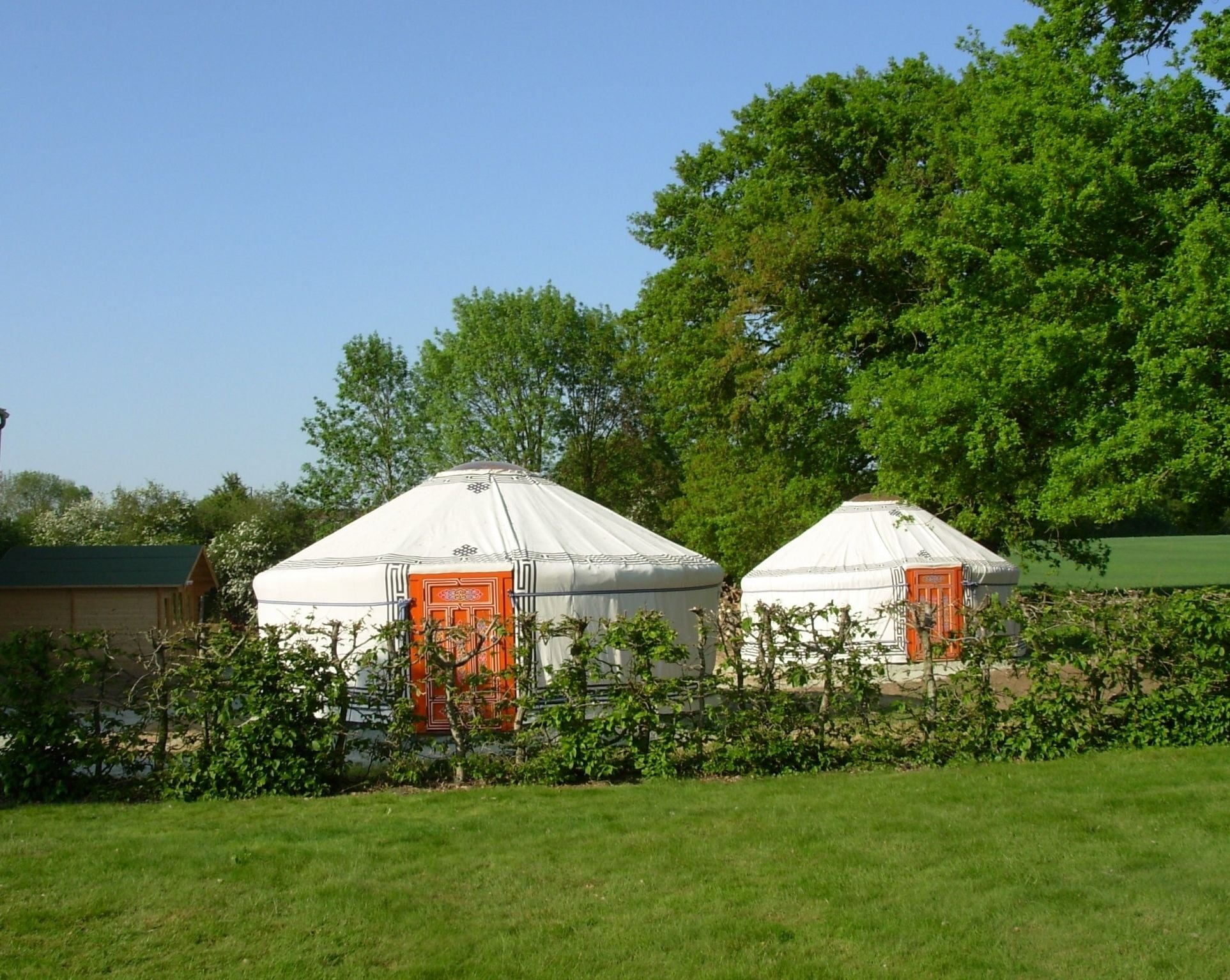 Two yurts with orange doors, surrounded by greenery and trees.