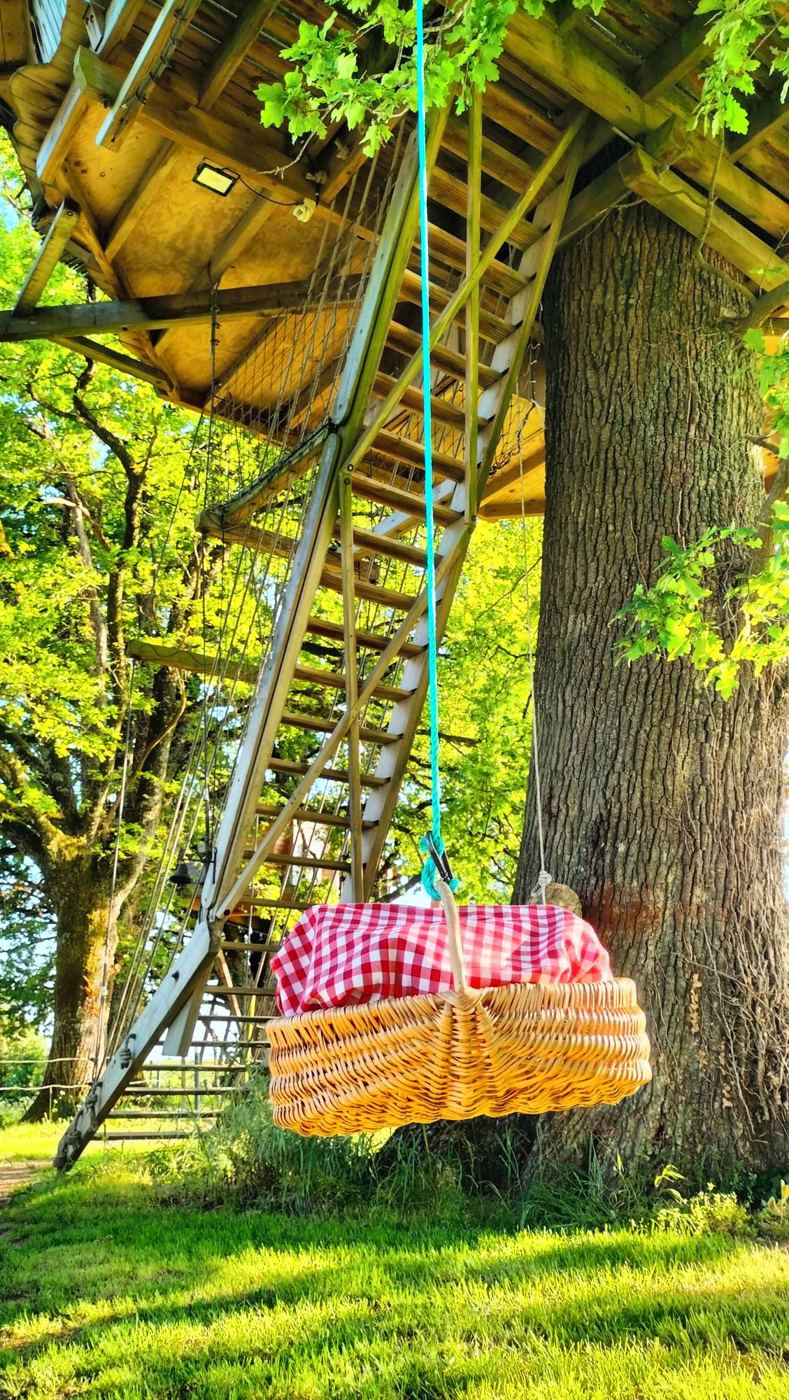 Un fauteuil suspendu en osier, accroché à une structure en bois et agrémenté d’un tissu à carreaux.