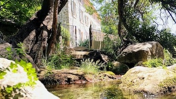 Jardín