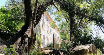 Le Moulin Camoula