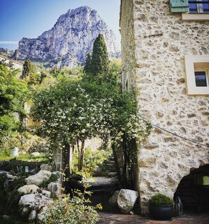 Garden - Le Moulin Camoula (Saint-Jeannet)