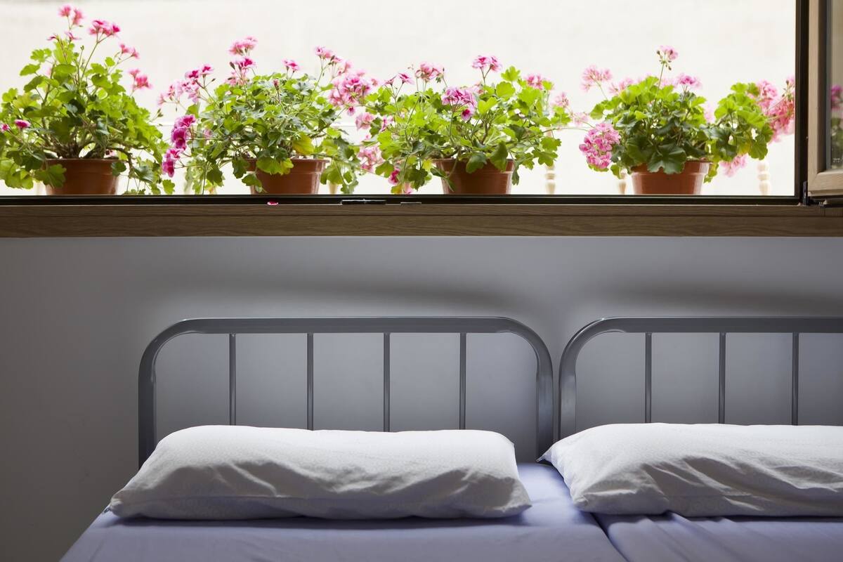 A bed with white pillows and a window above it with potted plants.