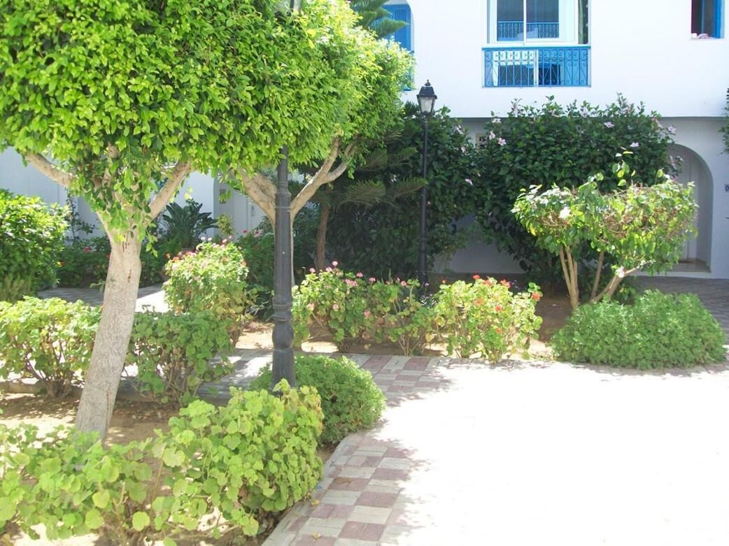 Un patio con un sendero empedrado, rodeado de arbustos y árboles.