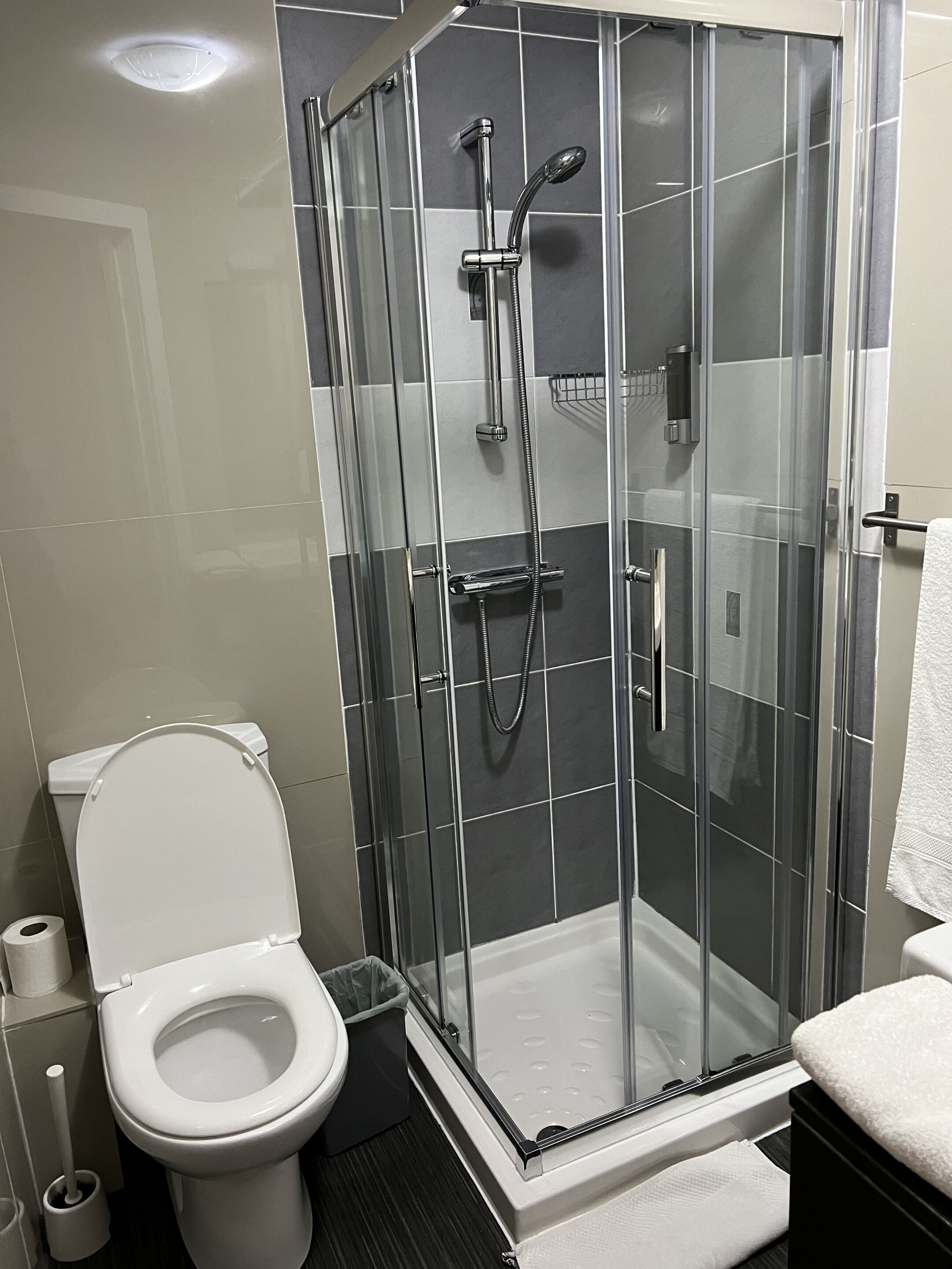 Ein modernes Badezimmer mit einer gläsernen Dusche, einer Toilette und einem Handtuchhalter.