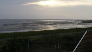 Uitzicht op de kust met een grasveld en een weg op de voorgrond.