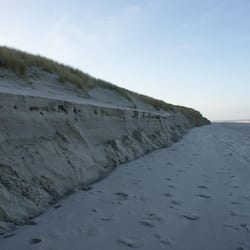 On the beach