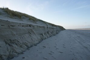 บนชายหาด