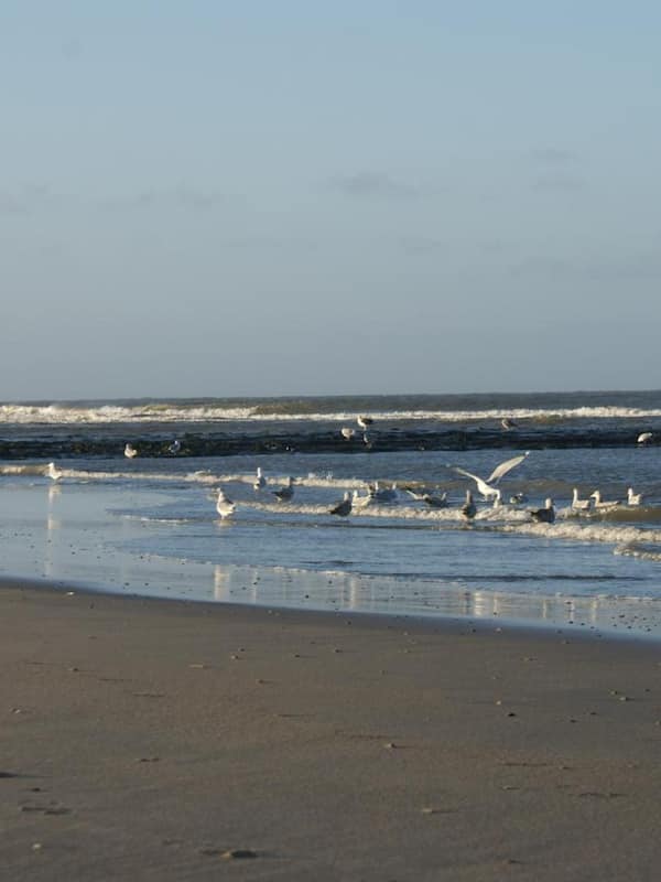 On the beach