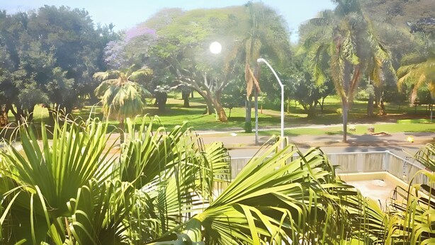 Un parque con palmeras, un sendero y una fuente.
