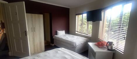 Comfort Triple Room, 1 Bedroom, Park View | 1 bedroom, premium bedding, individually decorated