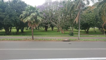 A park with a paved walkway, trees, and a road in the foreground.