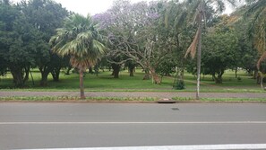 A park with a paved walkway, trees, and a road in the foreground. - KZN Park View Guest House (Durban)