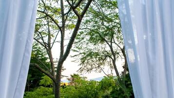 Vista desde la habitación