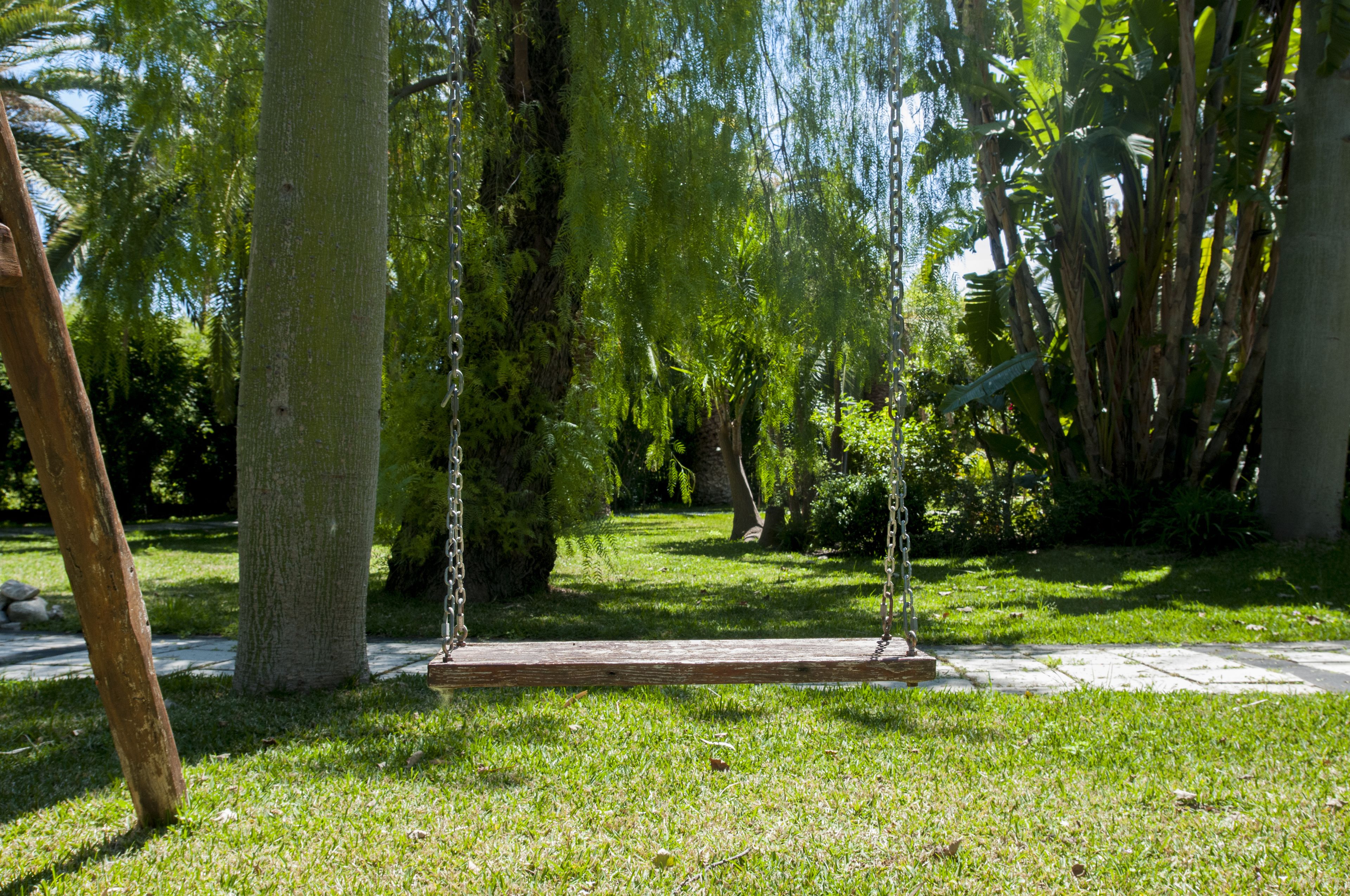 Un columpio de madera en un jardín frondoso con árboles y césped.