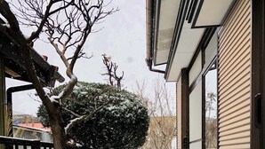 A snow-covered outdoor area with a wooden bench, a snow-covered tree, and a building with a sliding glass door. - Asahi (Fujiyoshida)