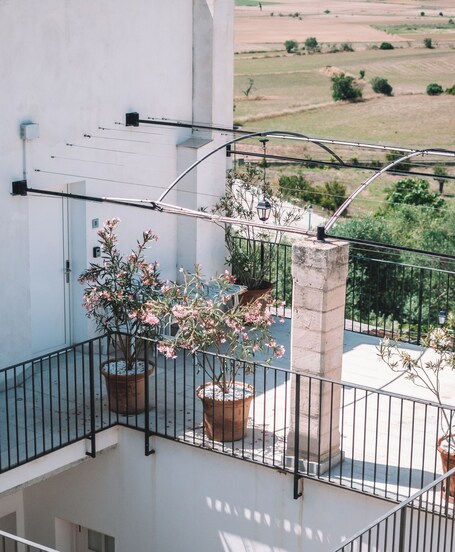 Mater Ariany Hotel - view 3