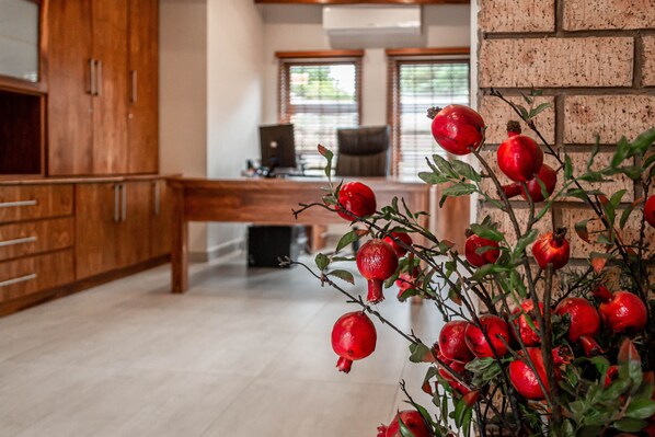 Reception - Camelot Guest House & Apartments (Potchefstroom)