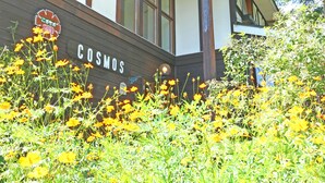 Un edificio con el letrero "COSMOS" y un jardín con flores amarillas al frente.