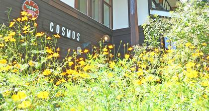 Forest Resort Cosmos