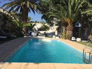 Outdoor pool, pool umbrellas, pool loungers - Villa Yassine (Hammamet)