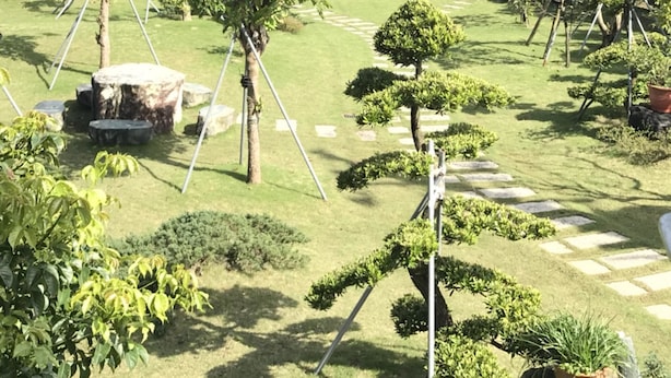 A well-maintained garden with various trees, shrubs, and a stone pathway. - Rice Countryside B&B (Dongshan)