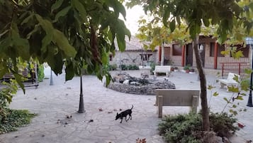 Terras