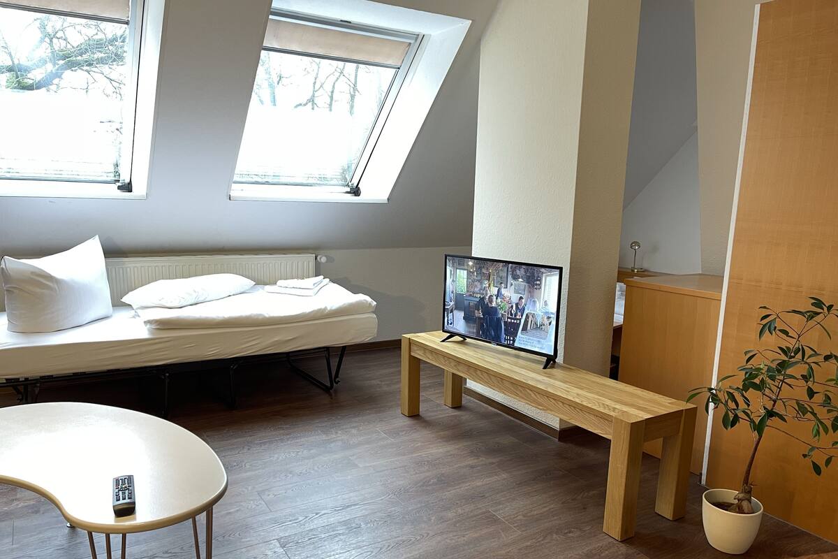 Una habitación moderna con una cama, un televisor sobre un mueble de madera, una silla blanca y una planta en maceta.