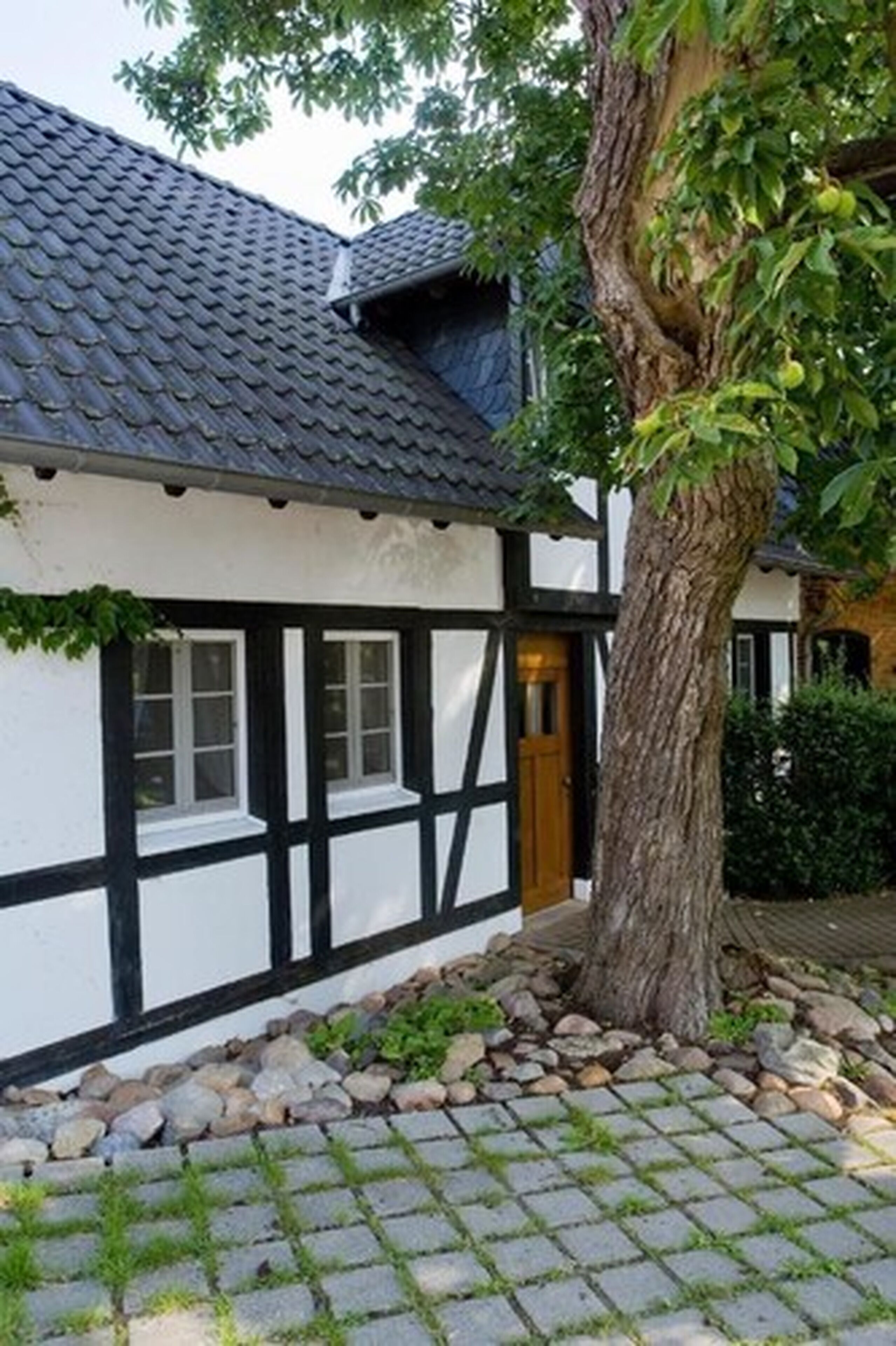 Eksteriør