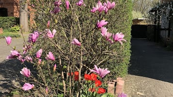 Tuin